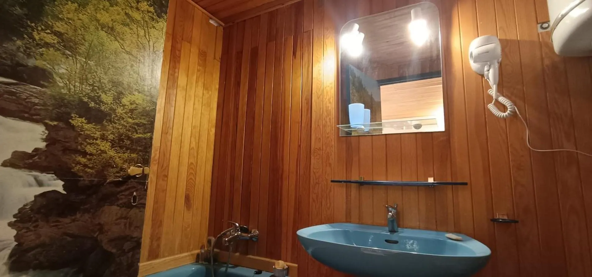 Apartment Large Studio In Saint-Chaffrey